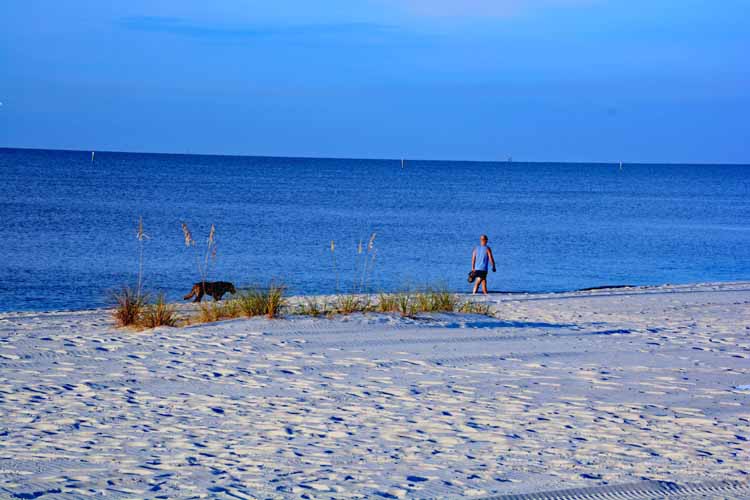 sandy beach